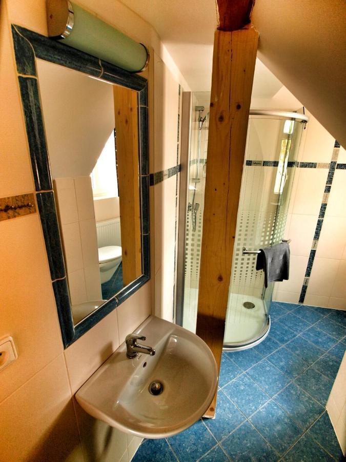 Hotel Pod Koksinem Spálené Poříčí Buitenkant foto